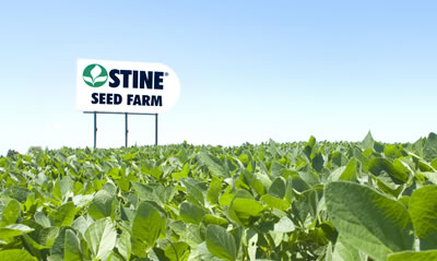 Stine Seed Farm