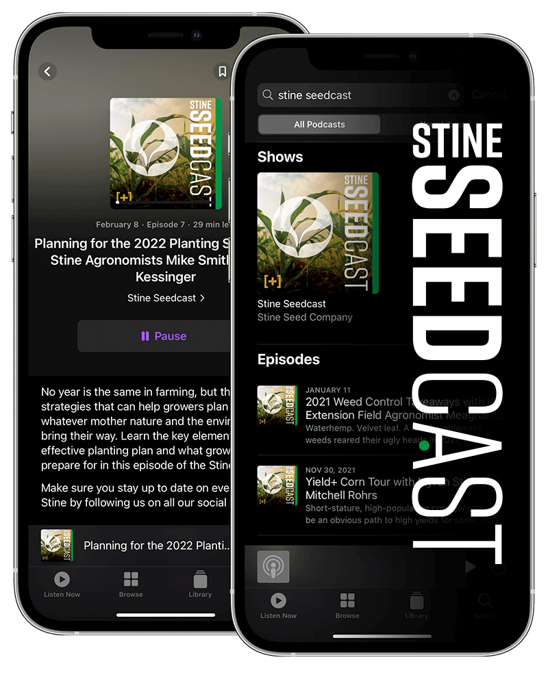 Listen to the Stine Seedcast - Stine Seed