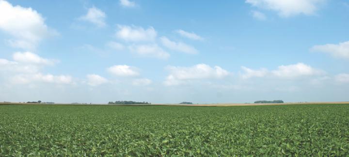 Stine, UPL announce new herbicide option for soybean growers