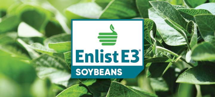 Stine® Enlist E3® soybeans: More generations equal more yield!