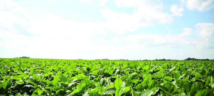 EPA lifts previous restrictions on Enlist One® & Enlist Duo® herbicides in 128 counties