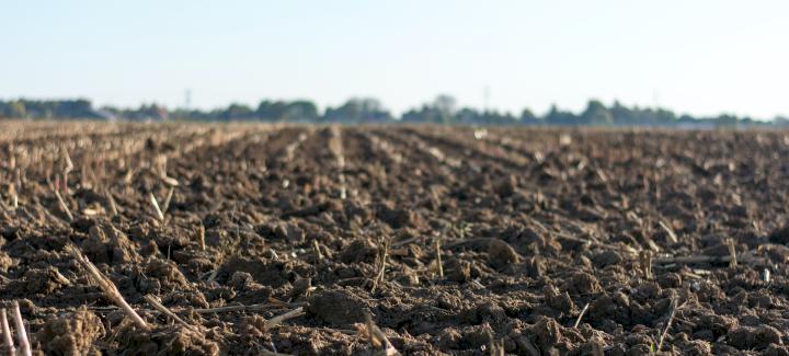 Managing soil compaction during and after harvest