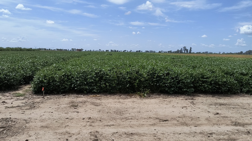 Exploring Stine’s off-season research program