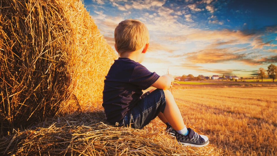 There’s still time: Participate in the Stine® Harvesting Wishes® Program