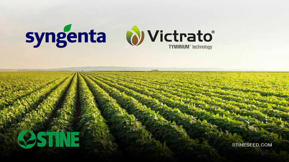 Stine® to offer Syngenta’s Victrato® soybean seed treatment in 2026