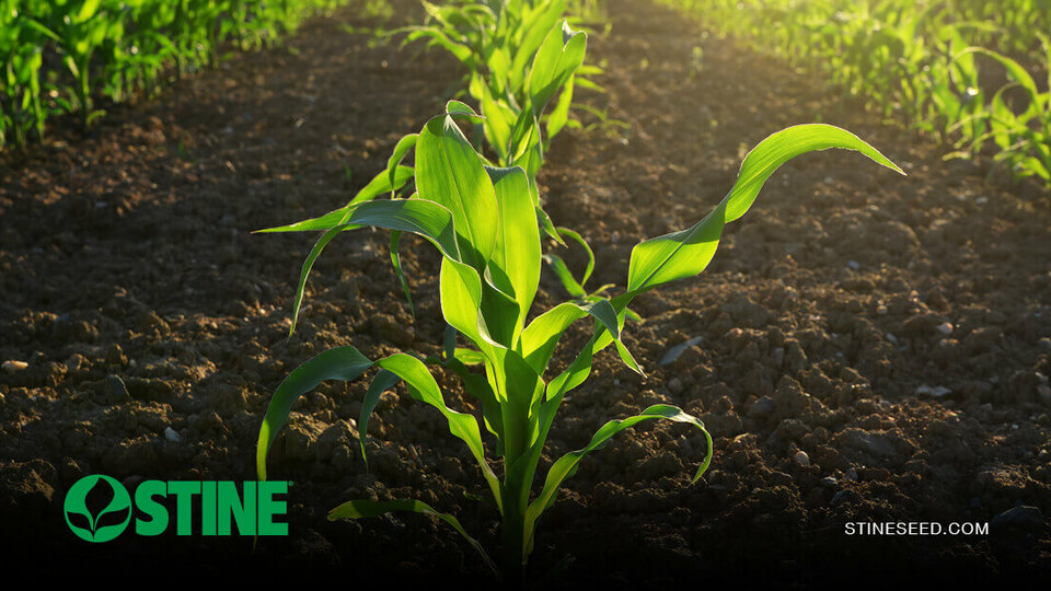Stine® agronomists participate in Successful Farming® Crop Crew for 2026 season