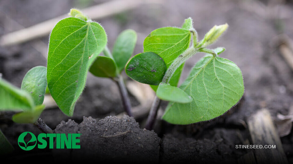 Have patience: Weather delays add pressure, but crop potential remains