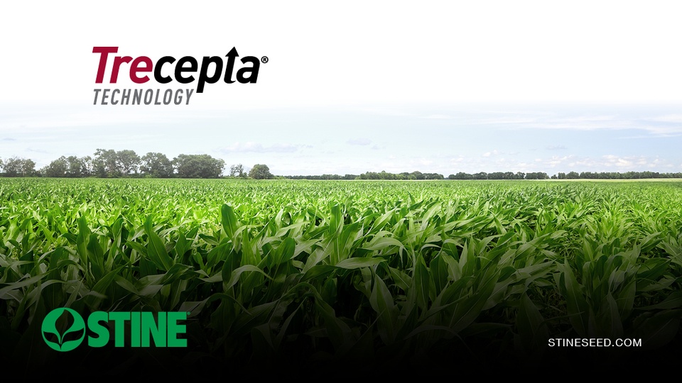 A closer look at Stine® Trecepta® Technology brand corn