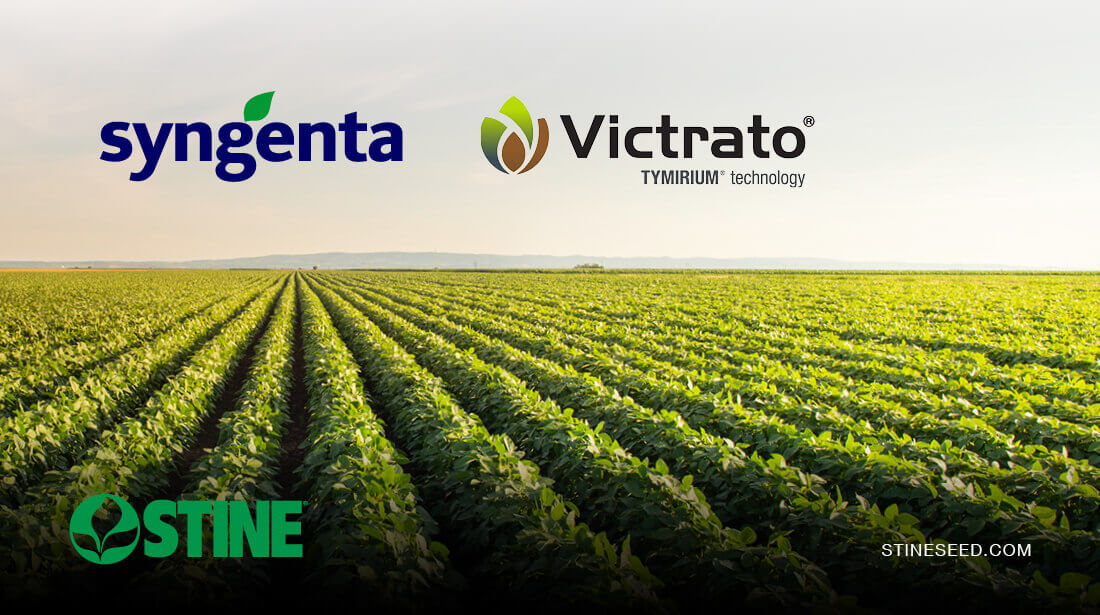 Stine® to offer Syngenta’s Victrato® soybean seed treatment in 2026