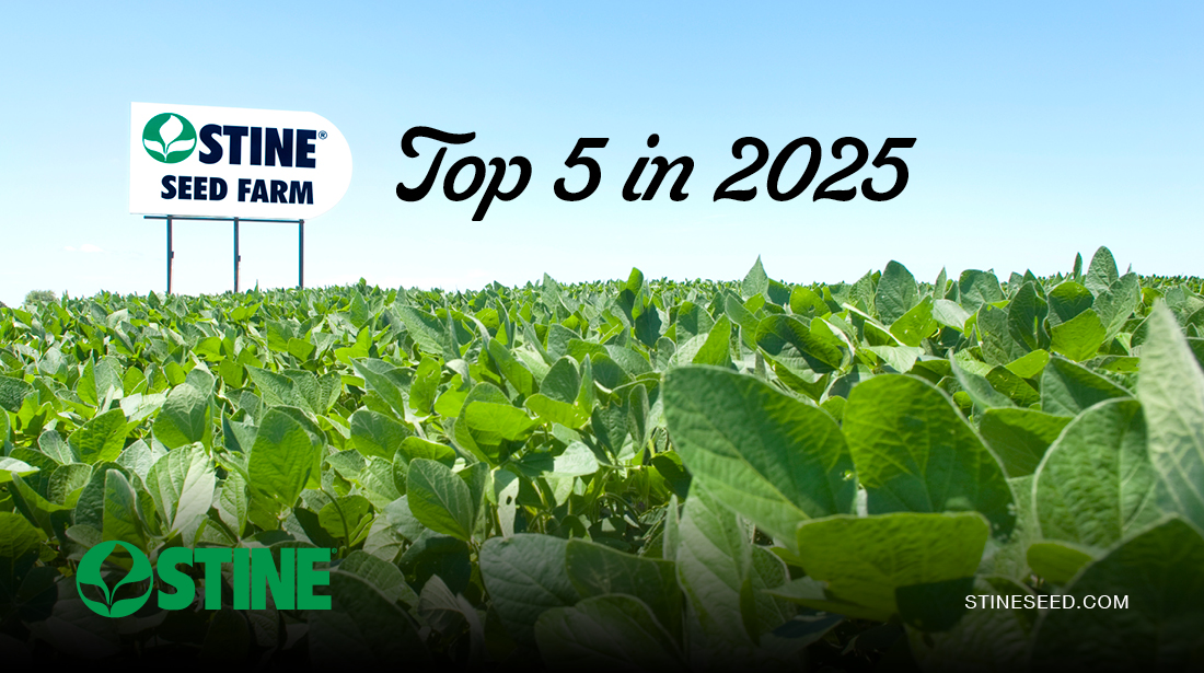 Top 5 Stine® stories from 2025