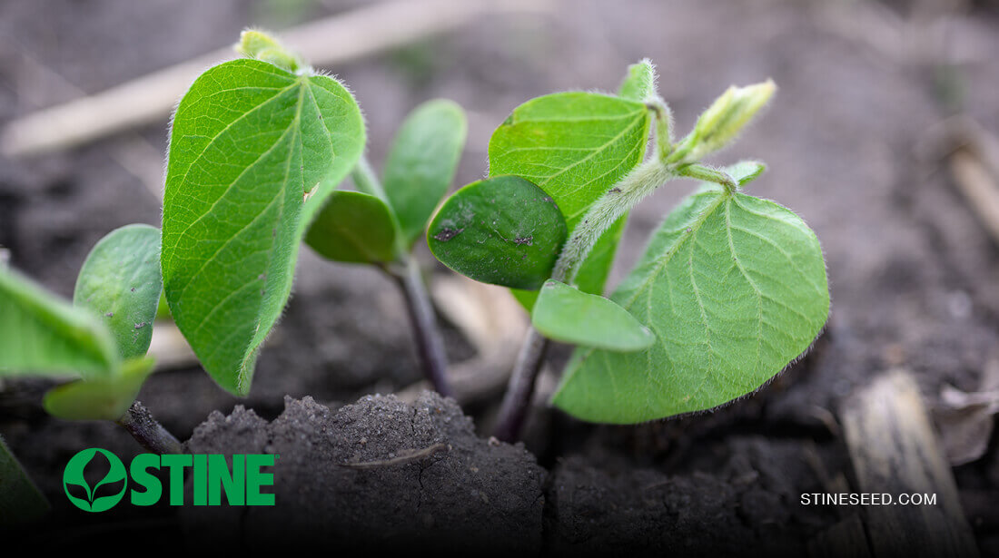 Have patience: Weather delays add pressure, but crop potential remains