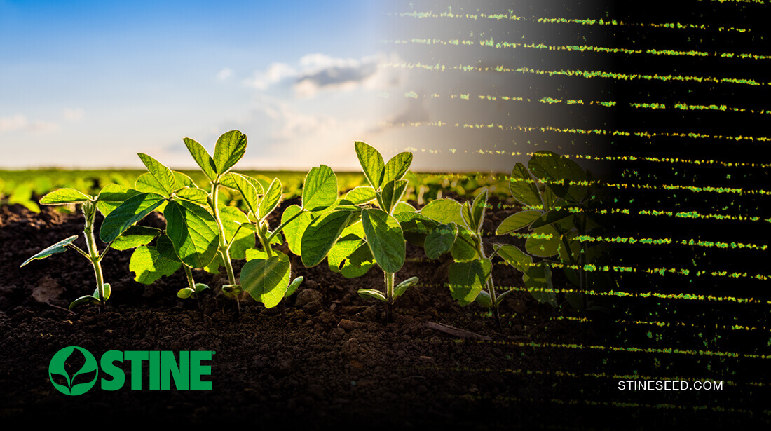 2026 crop watch: Stay ahead of SDS and IDC in soybeans