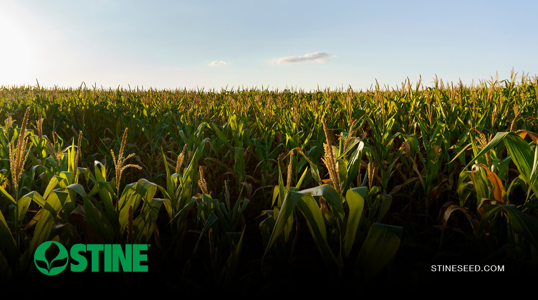 Crop watch: Late-season issues to catch before you combine