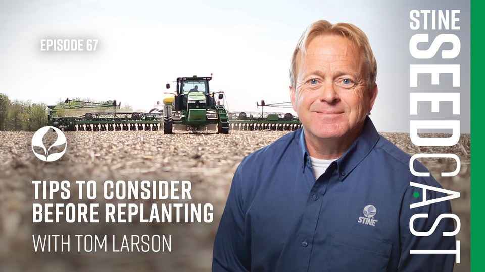 Episode 67: Tips to Consider Before Replanting with Tom Larson