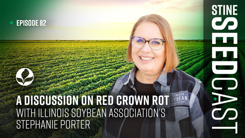 Episode 82: A Discussion on Red Crown Rot With Illinois Soybean Association’s Stephanie Porter