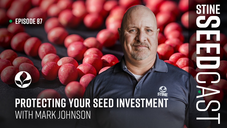 Episode 87: Protecting Your Seed Investment With Mark Johnson